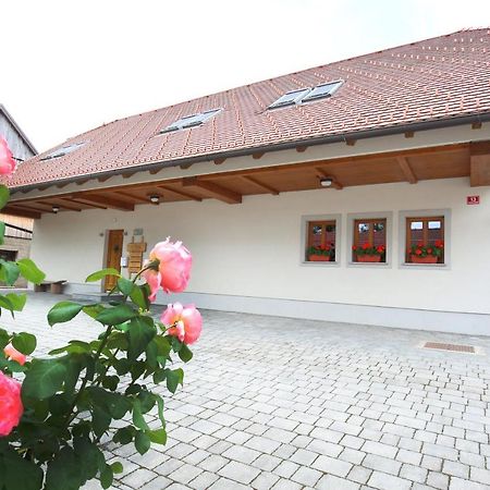 צרקניצה Apartments Vrdjan מראה חיצוני תמונה
