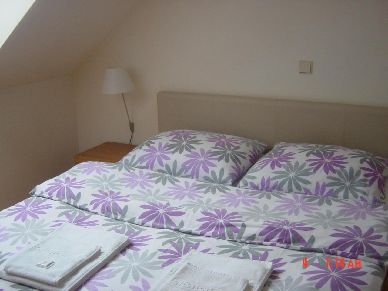 צרקניצה Apartments Vrdjan מראה חיצוני תמונה